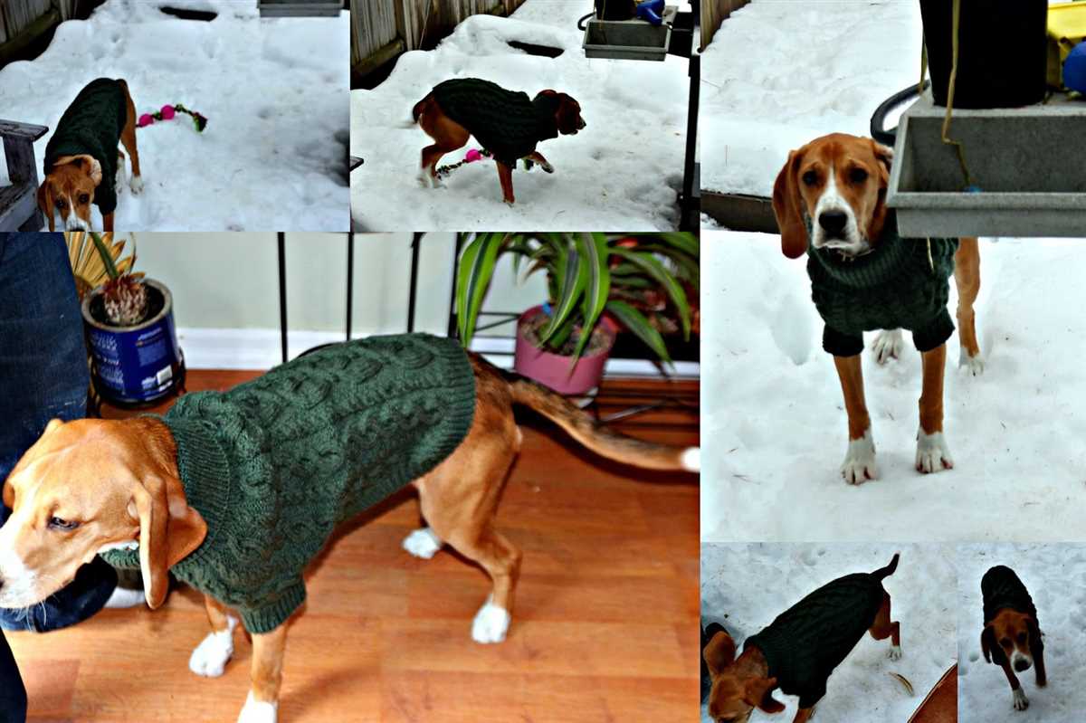 Knitted dog bed pattern free
