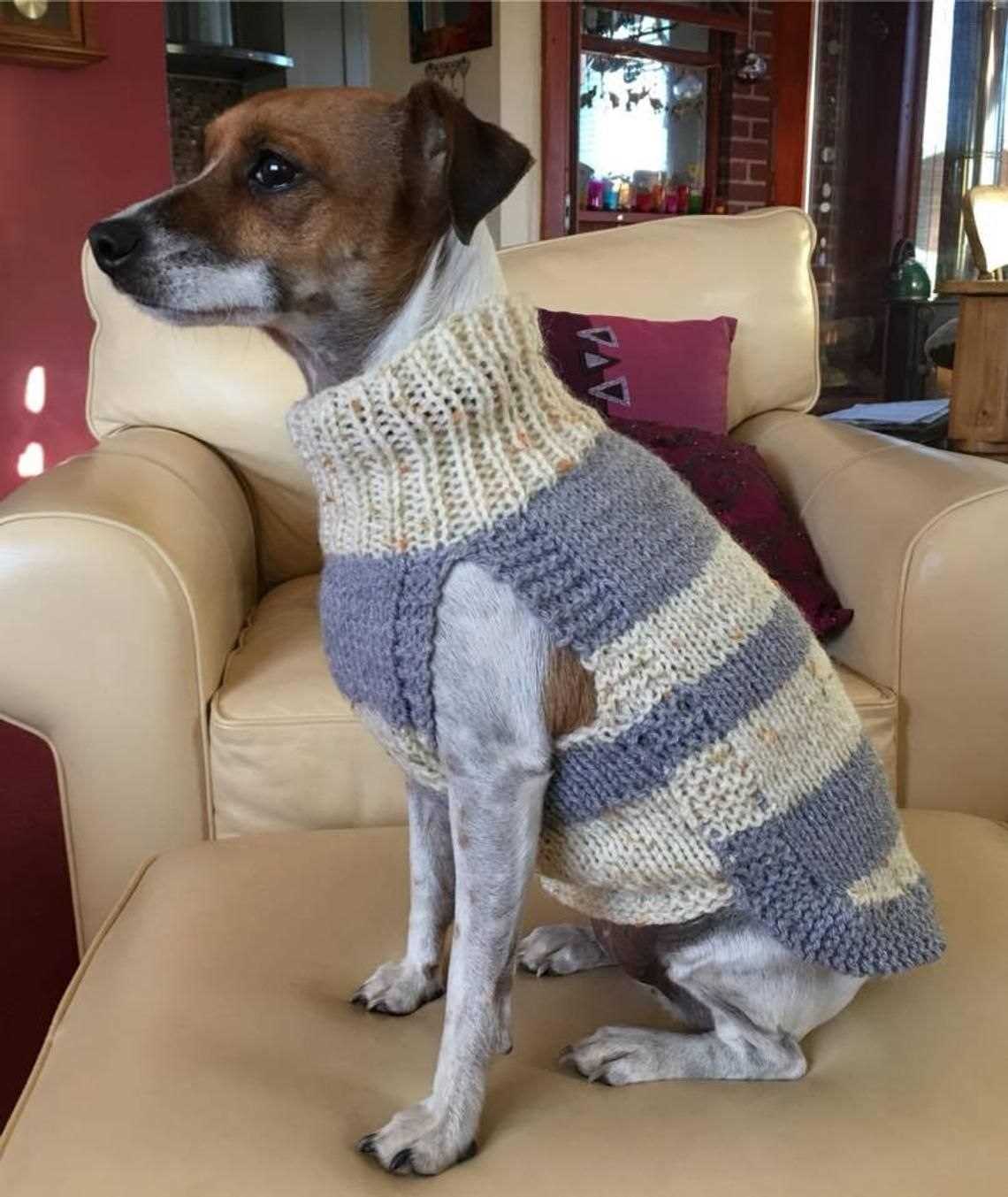 Knitted dog harness pattern