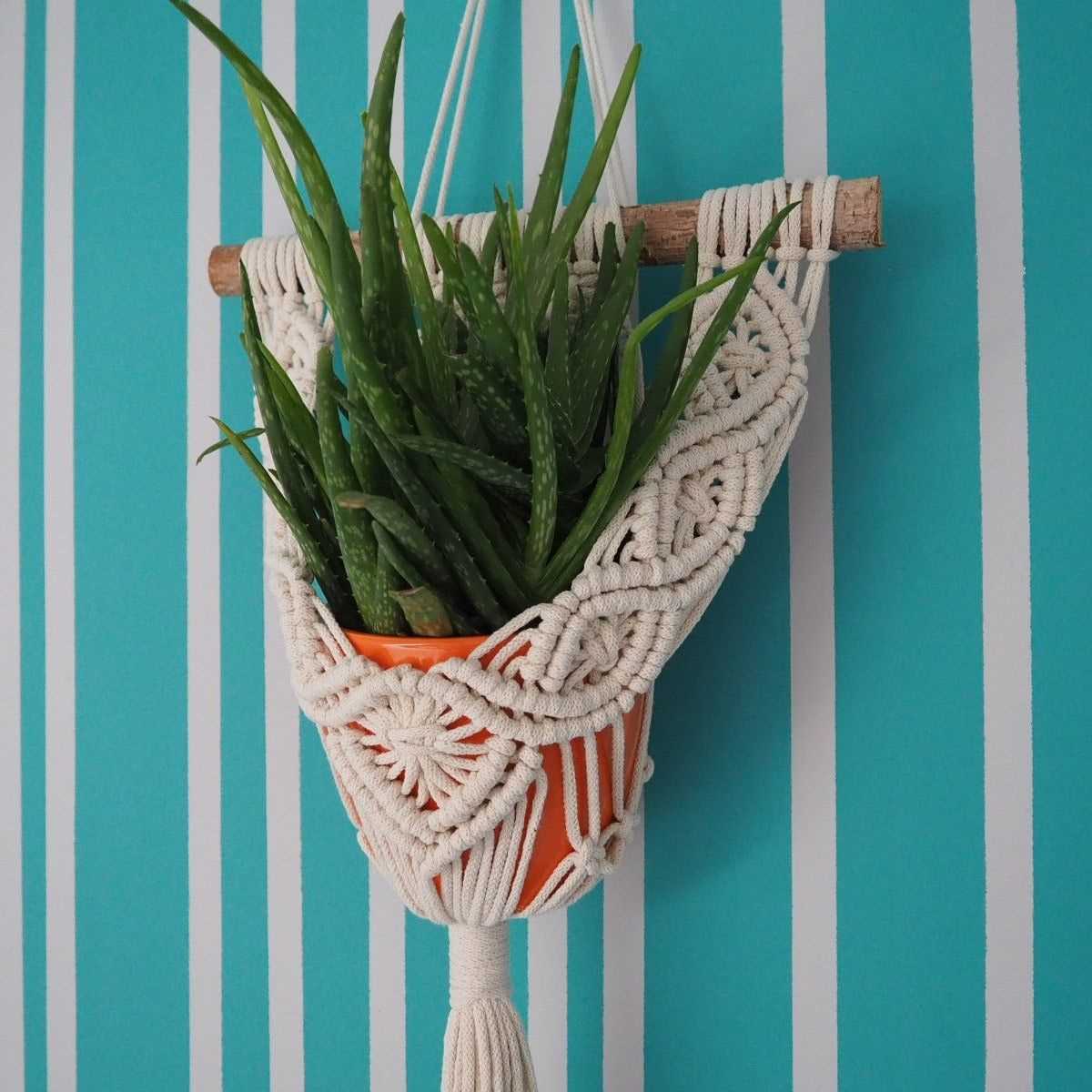Knitted plant hanger patterns