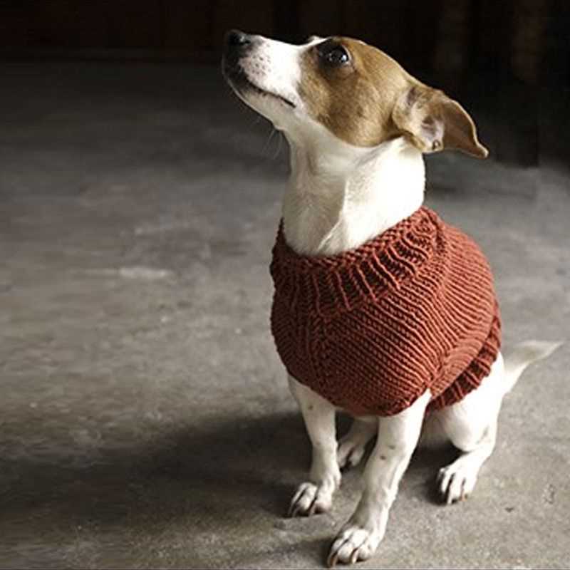 Knitting patterns for dachshund dog sweaters