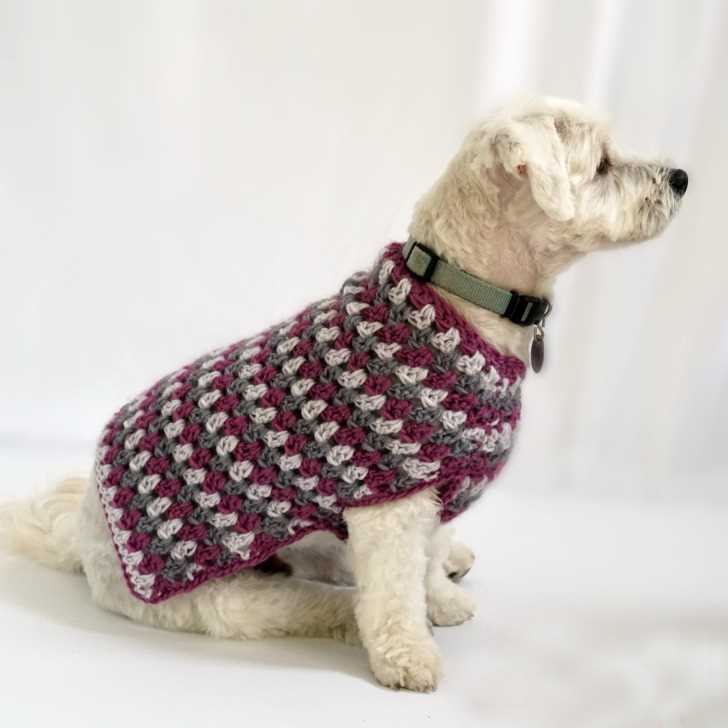 Knitting patterns for dog coats medium