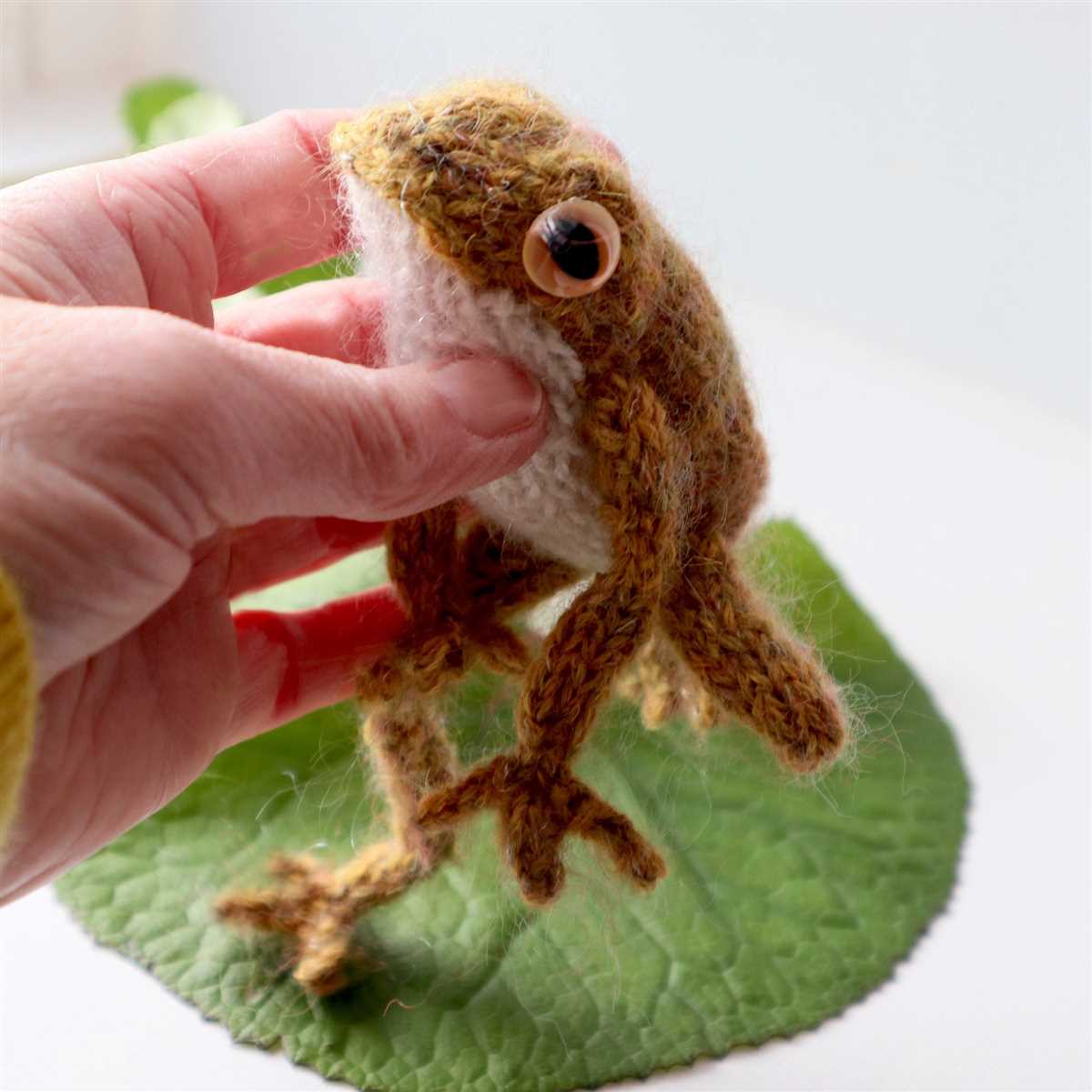 Knitting frog pattern