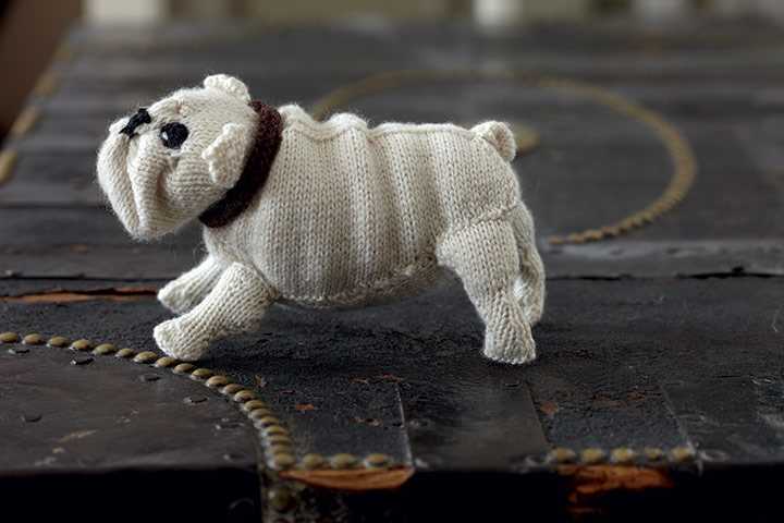 Knitting pattern for english bulldog sweater