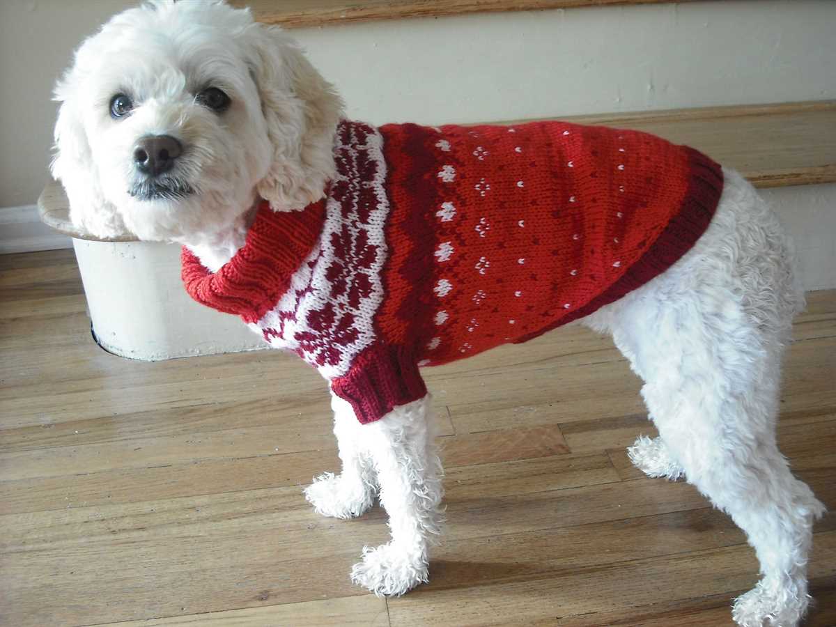 Knitting patterns for dog coats medium
