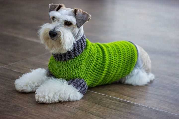 Knitting patterns for dog jerseys