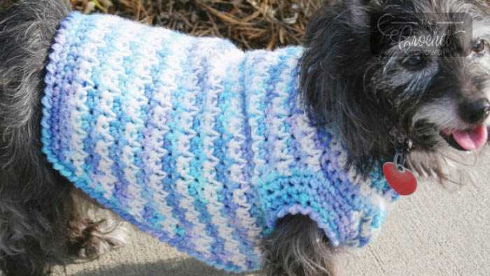 Knitting patterns for dog jerseys