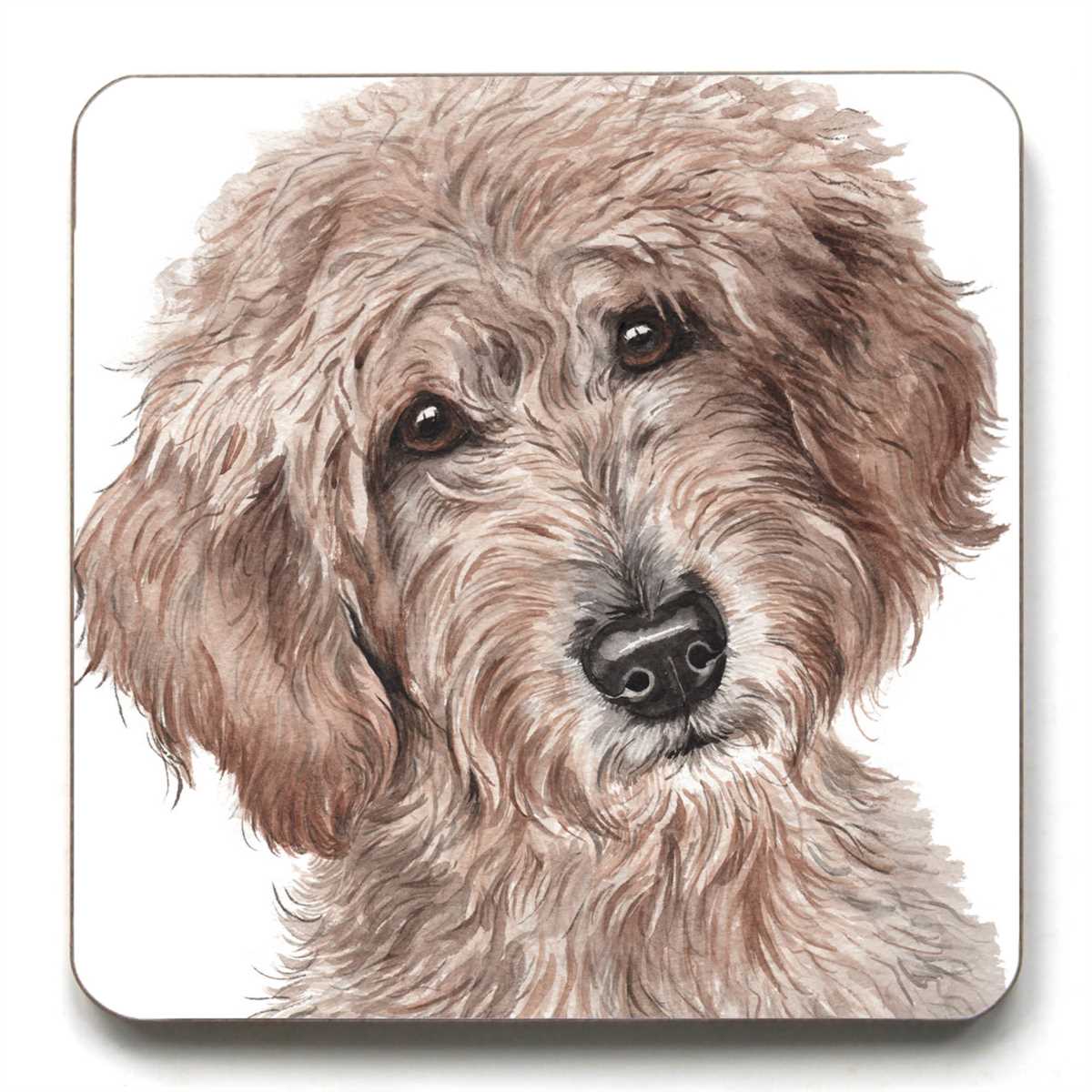 Labradoodle knitting pattern