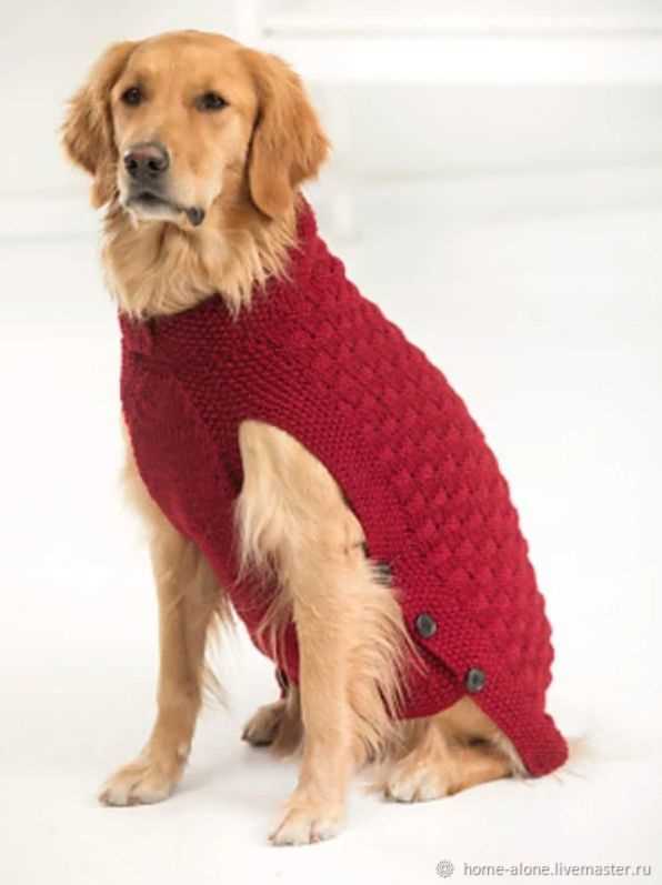 Large dog knitted sweater pattern