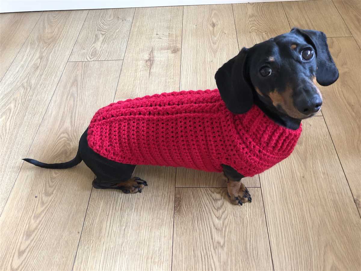 Mini-dachshund sweater knitting pattern free