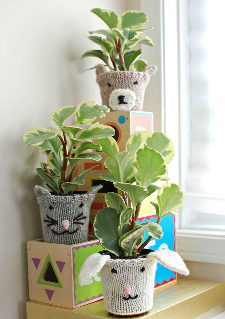 Plant cozy knitting pattern