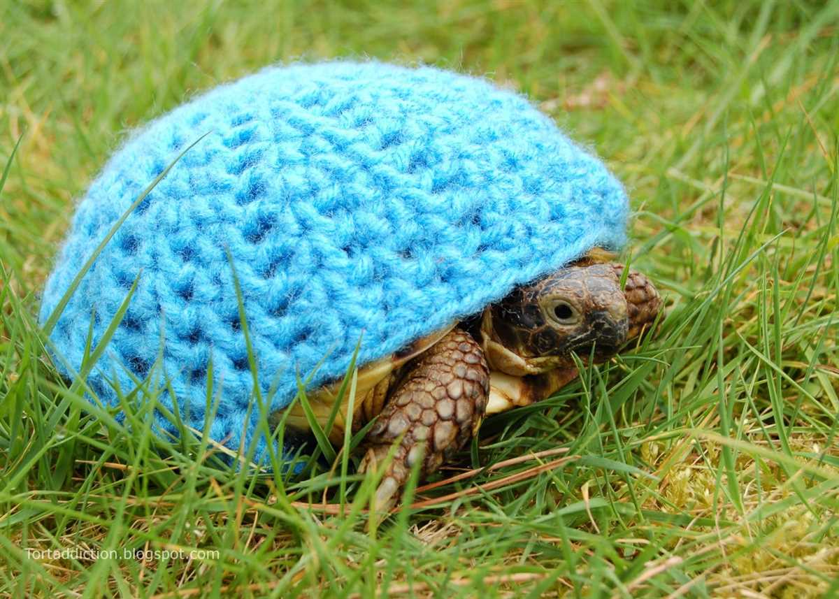 Tortoise sweater knitting pattern