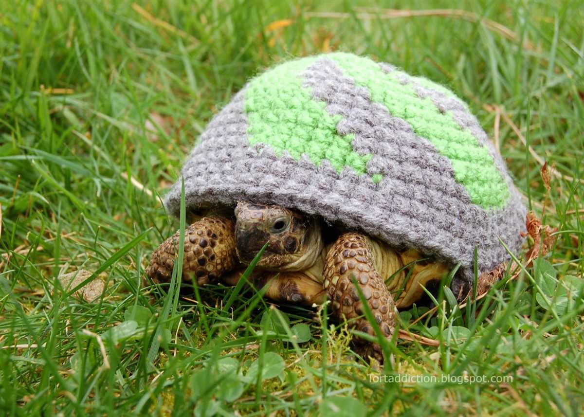 Tortoise sweater knitting pattern