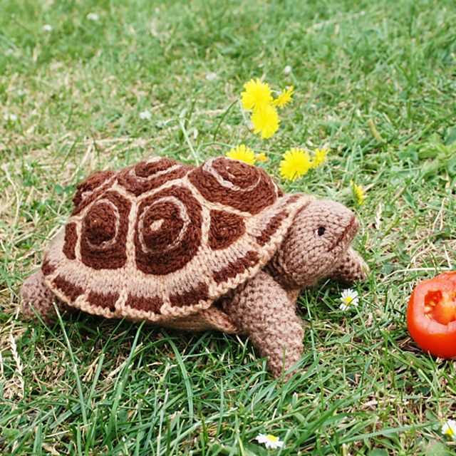 Turtle knitting pattern