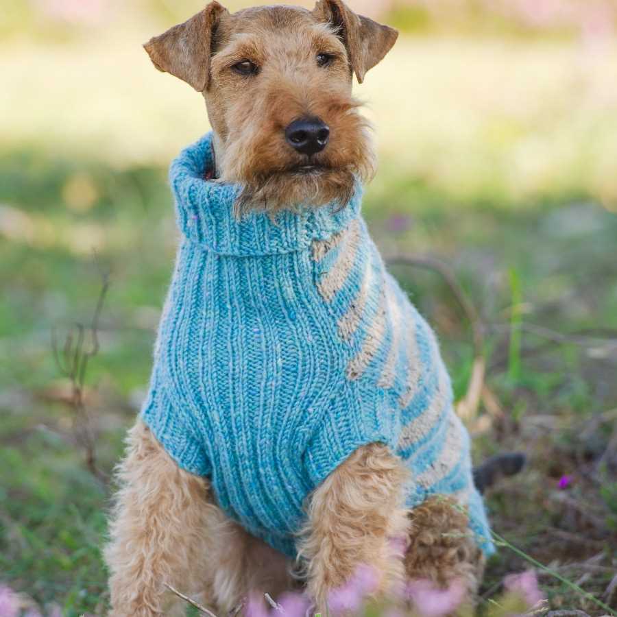 Westie knitting pattern