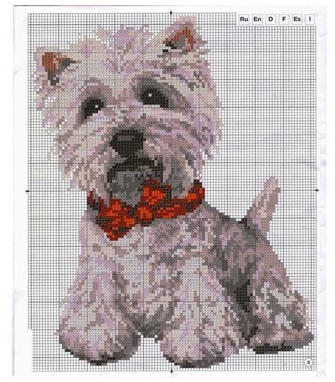 Westie knitting pattern