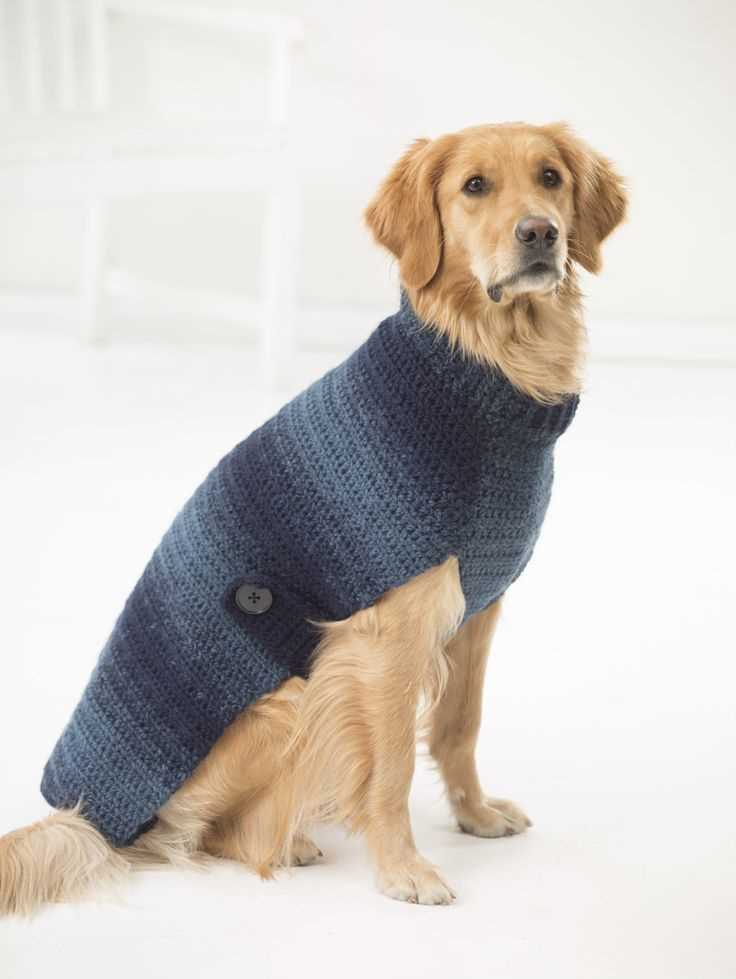 Xl dog sweater knitting pattern