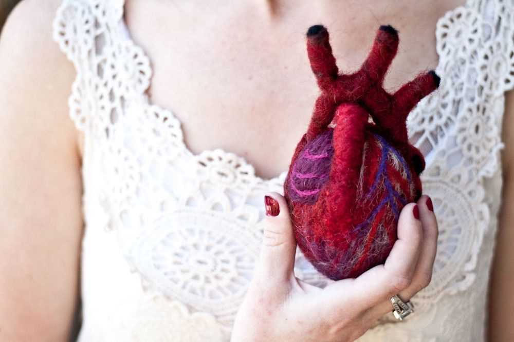 Anatomical heart knitting pattern