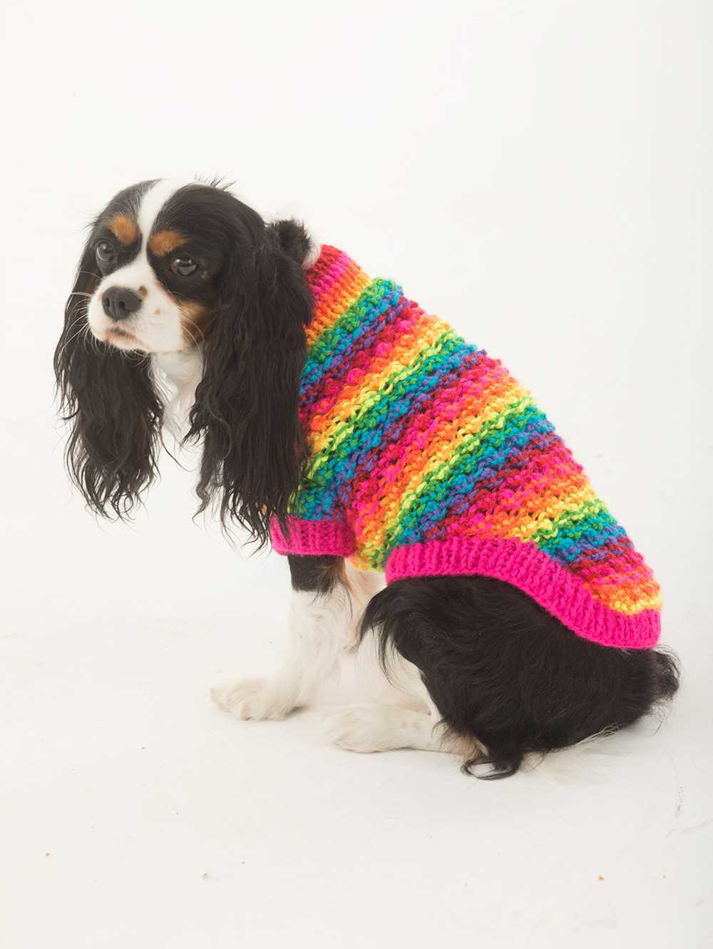 Easy knit dog coat patterns free