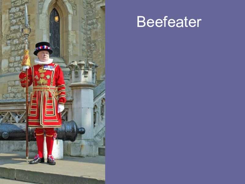 Beefeater knitting pattern