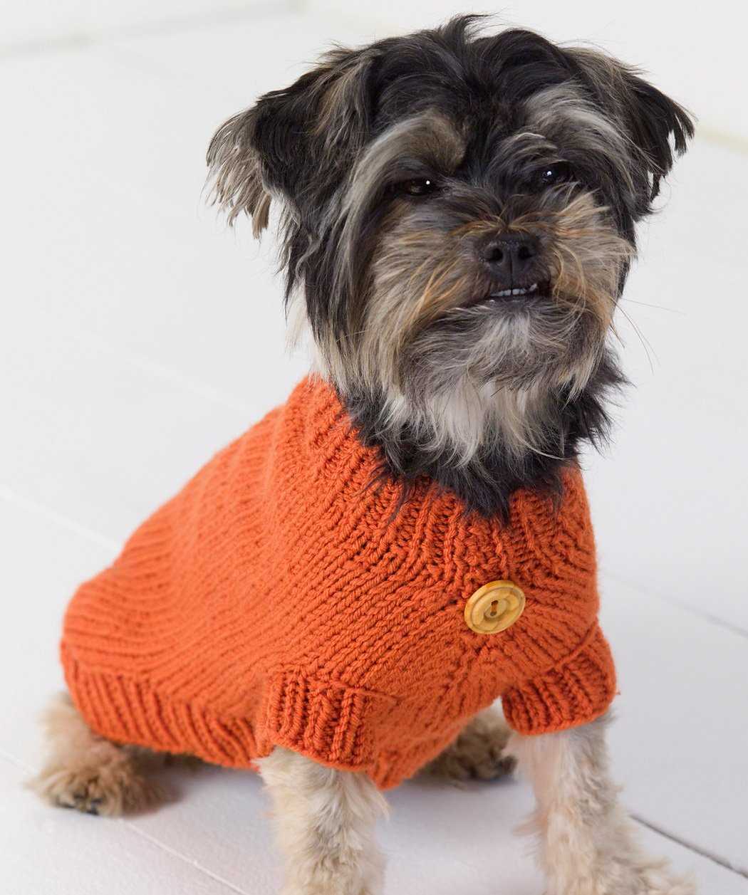 Simple and Free Knitting Patterns for Beginner Dog Sweaters Beginner easy knit dog sweater patterns free