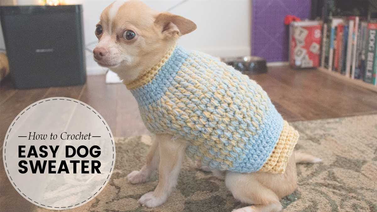 Beginner easy knit dog sweater patterns free