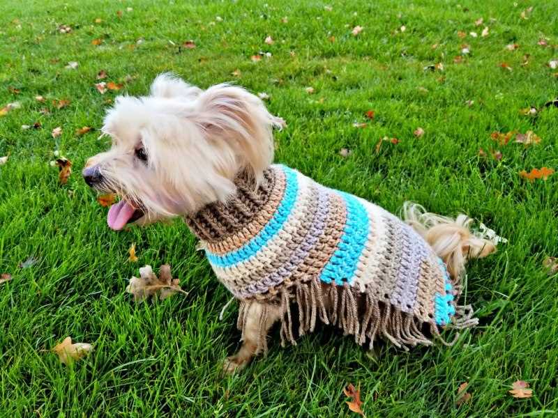 Beginner easy knit dog sweater patterns free