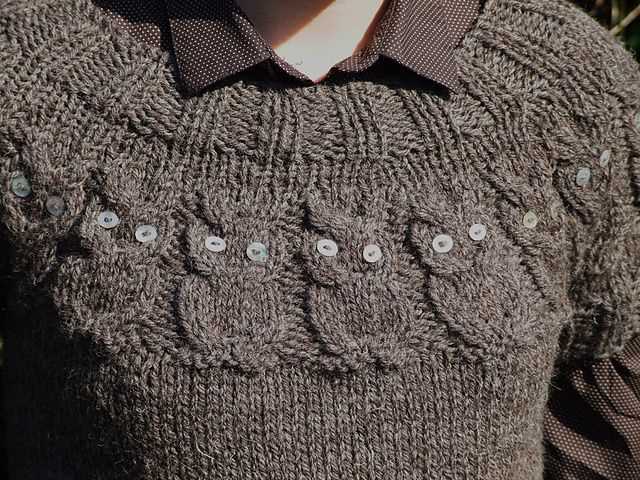 Owl knit sweater pattern