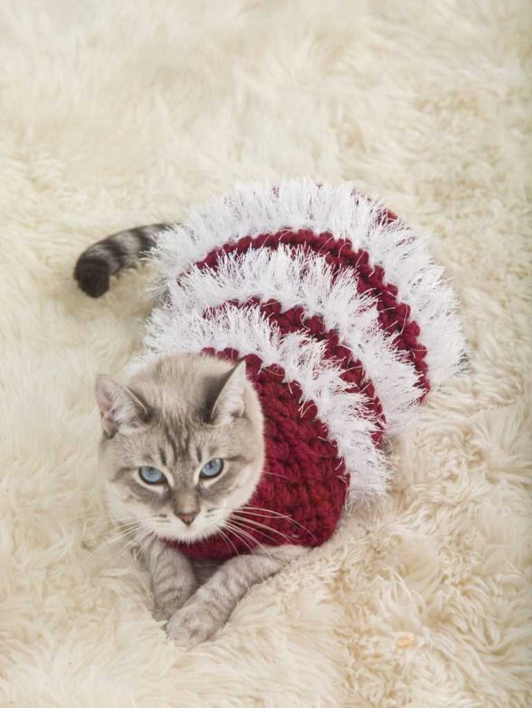 Knitted cat jumper pattern free