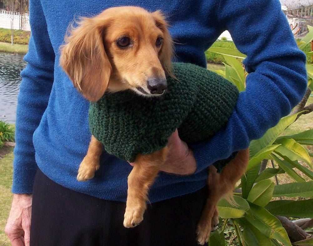 Dachshund jumper knitting pattern free