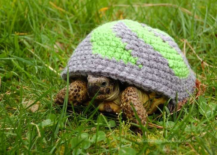 Bowser knitting pattern