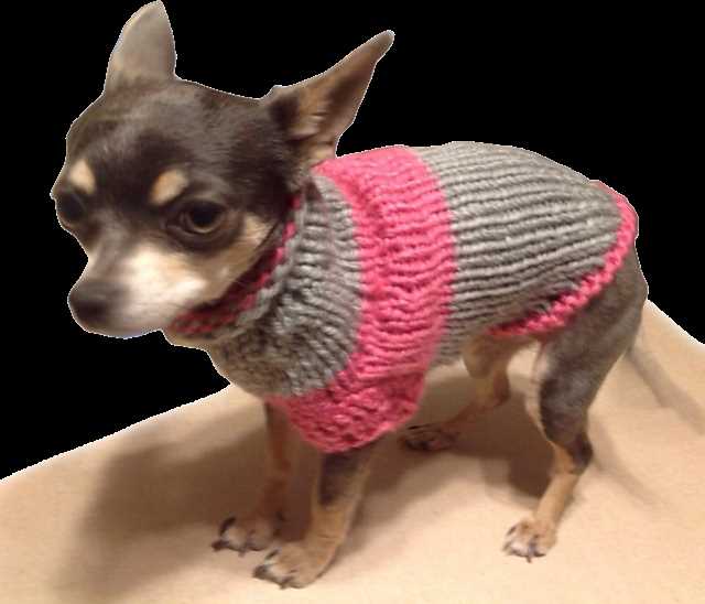 Dog sweater knitting pattern chihuahua
