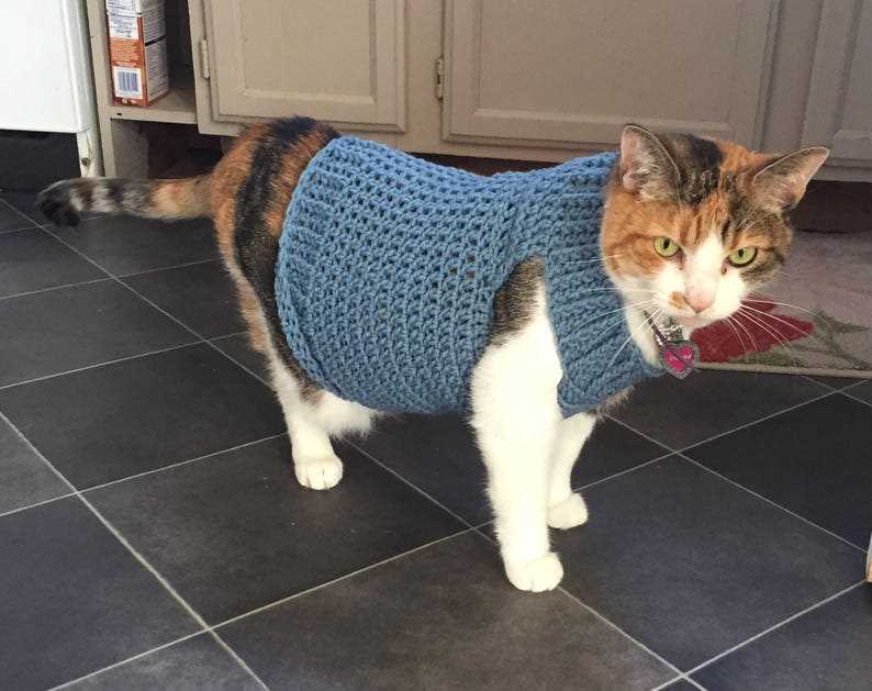 Cat cardigan knitting pattern