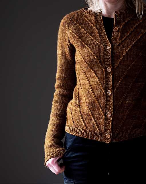 Cat cardigan knitting pattern