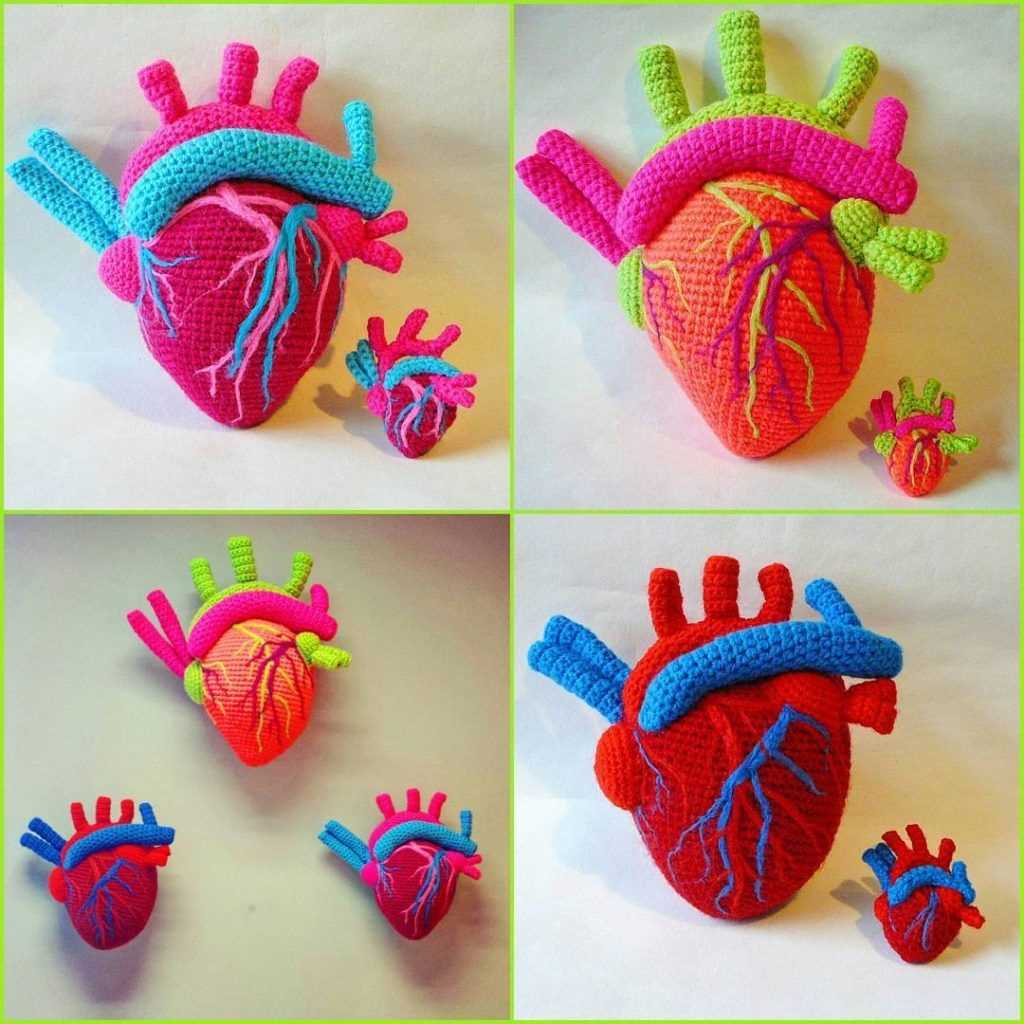 Anatomical heart knitting pattern