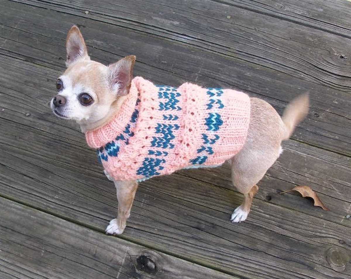 Dog sweater knitting pattern beginner