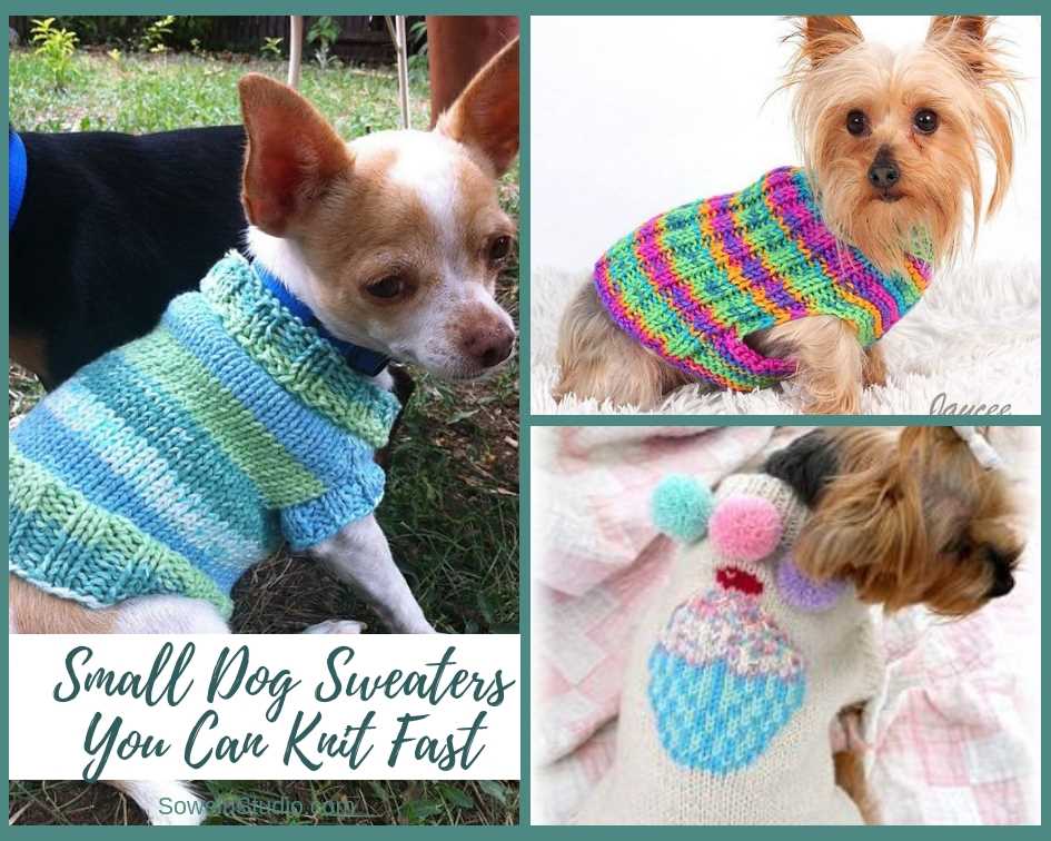 Chihuahua sweater knitting pattern free