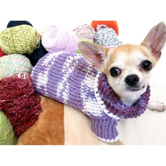 Create the Perfect Chihuahua Sweater with Our Free Knitting Pattern Chihuahua sweater knitting pattern free