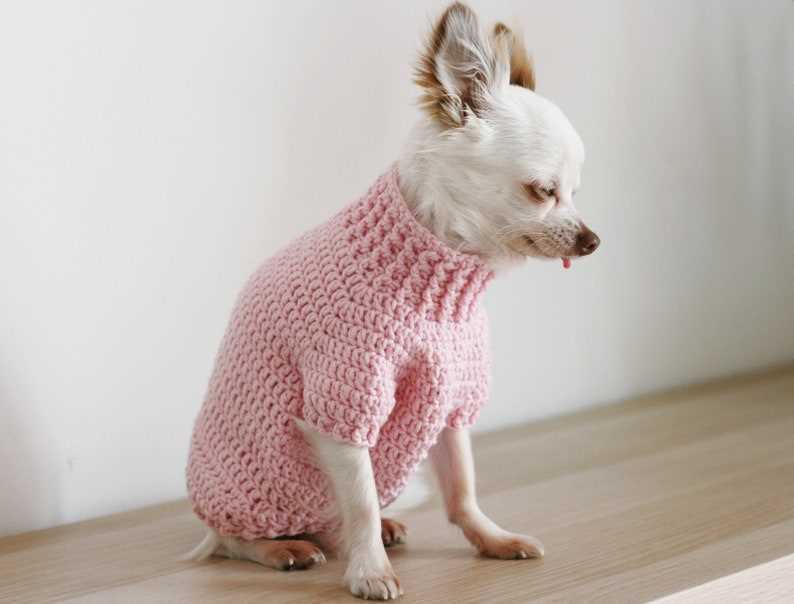 Chihuahua sweater knitting pattern free