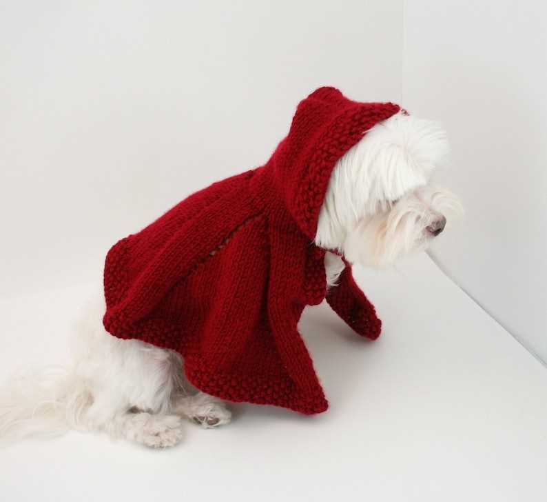 Knitting patterns for dog coats medium