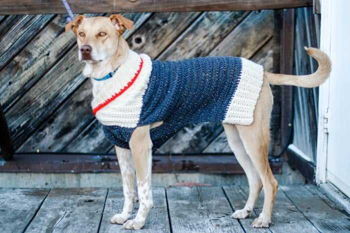 Extra small dog sweater knitting pattern free