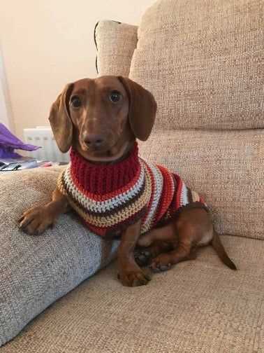 Dachshund jumper knitting pattern free