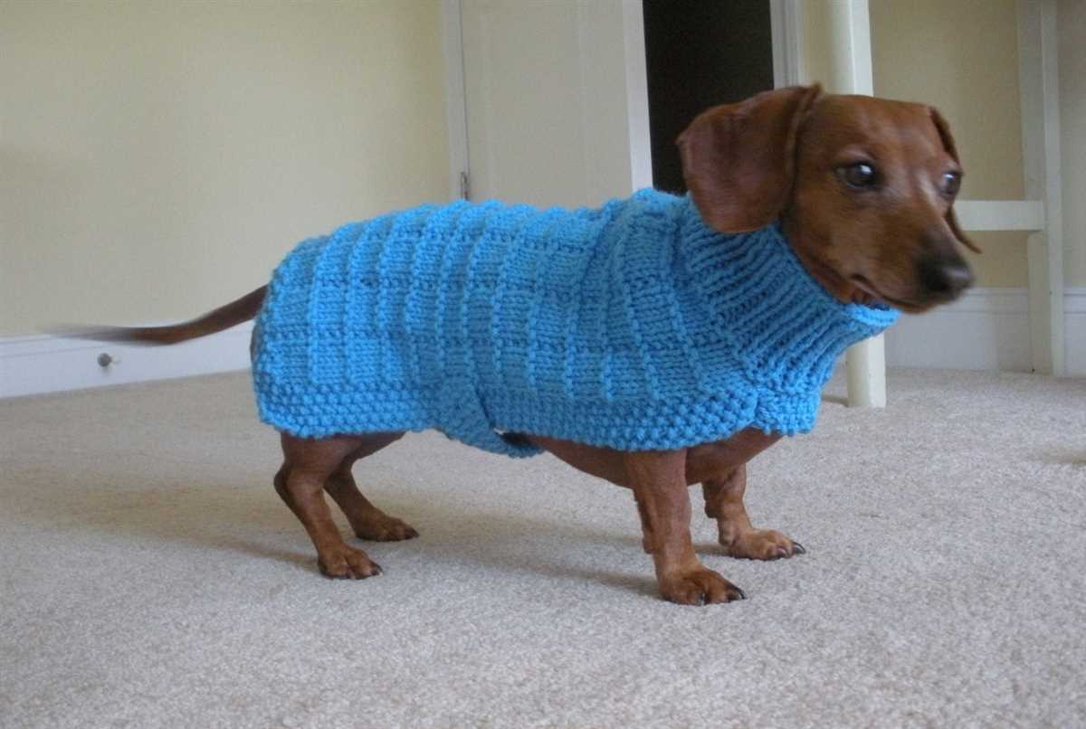 Dachshund knitting pattern