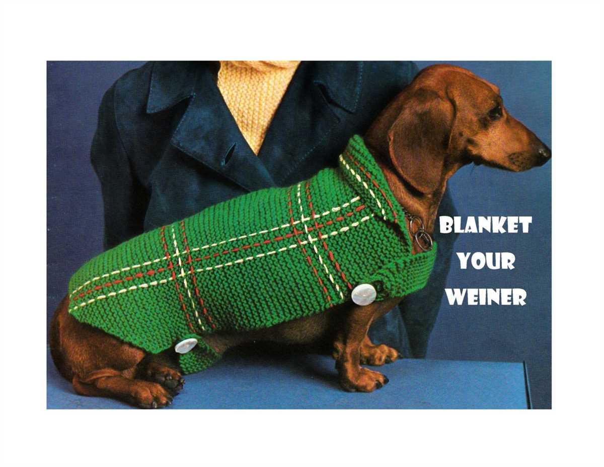 Dachshund knitting pattern