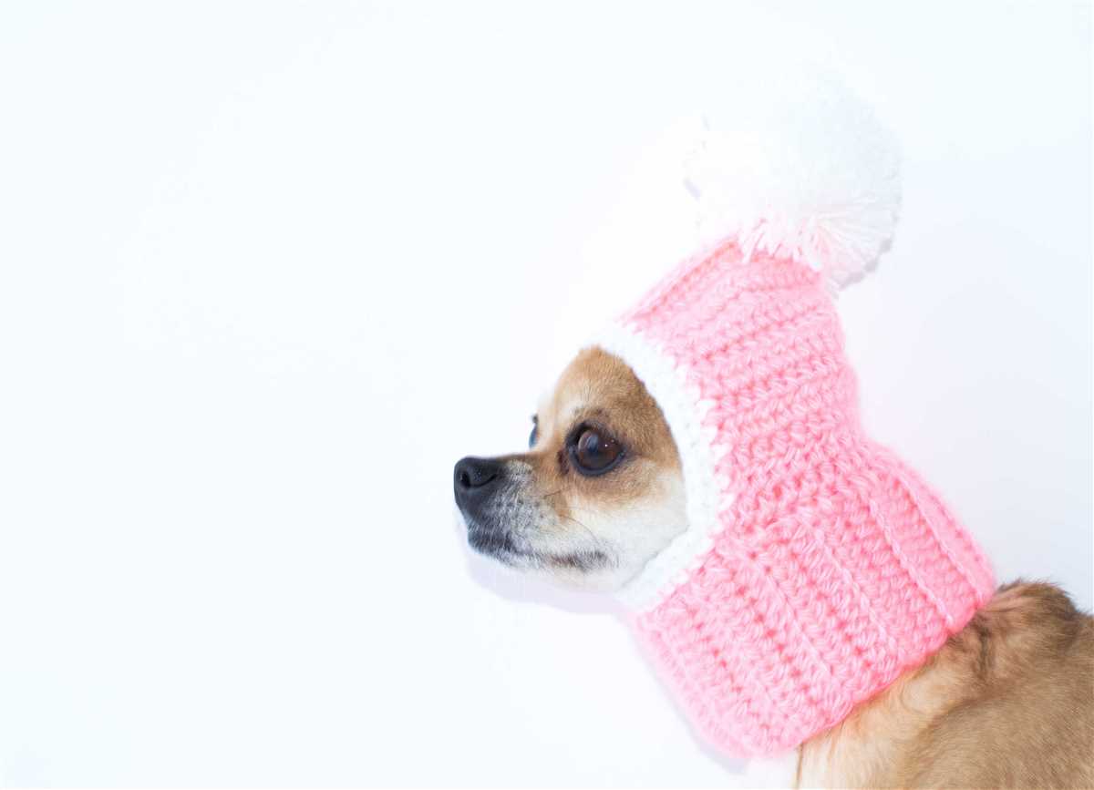 Dog bandana knitting pattern free