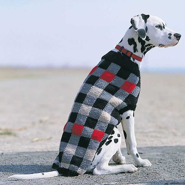 Dog coat knitting pattern