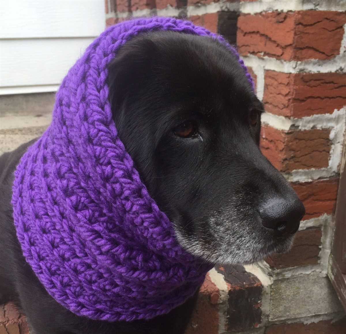 Dog snood knitting pattern