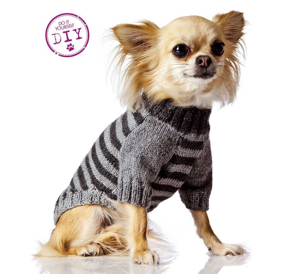 Dog sweater knitting pattern chihuahua