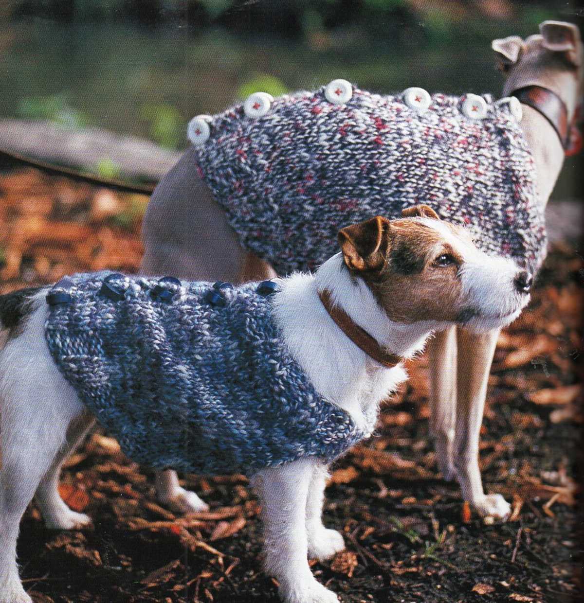 Dog xmas jumper knitting patterns