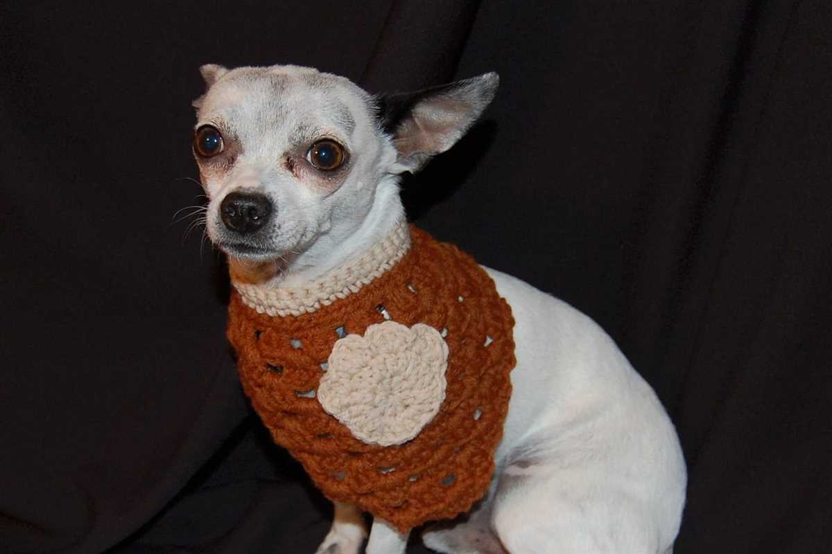Dog bandana knitting pattern free