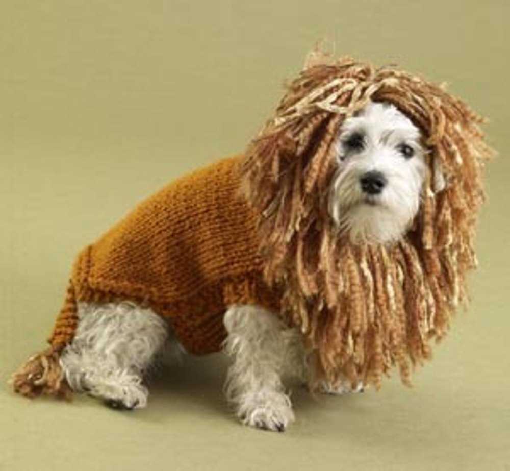 Dog coat knitting patterns to download